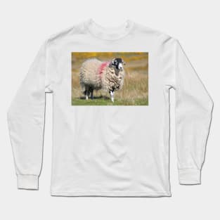 Swaledale Sheep on the Fells Long Sleeve T-Shirt
